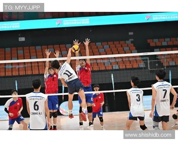 武汉排球队的拼搏之路精英赛背后的奋斗与荣耀