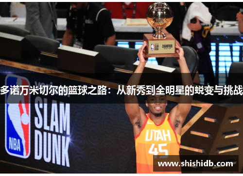 多诺万米切尔的篮球之路：从新秀到全明星的蜕变与挑战